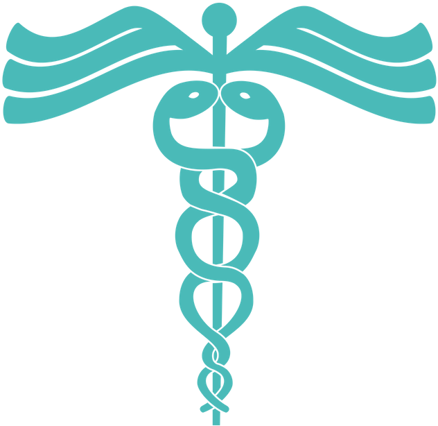 Mri Technologist School - Vector Graphics Clipart (940x788), Png Download