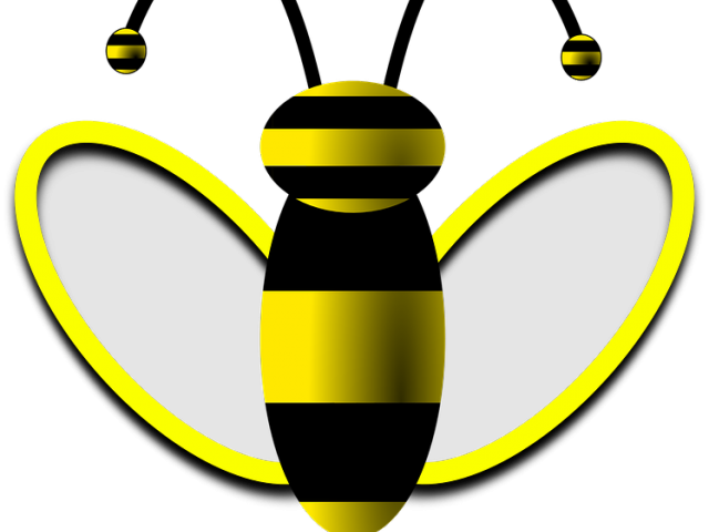 Wasp Clipart Madhumakhi - Clip Art - Png Download (640x480), Png Download