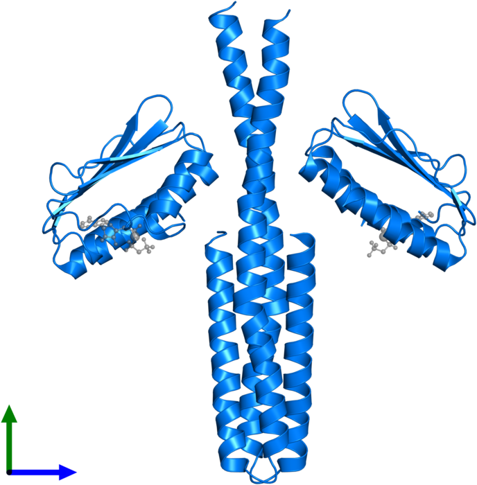 <div Class='caption-body'>pdb Entry 3gie Contains 2 - Desk Histidine Kinase Clipart (800x800), Png Download