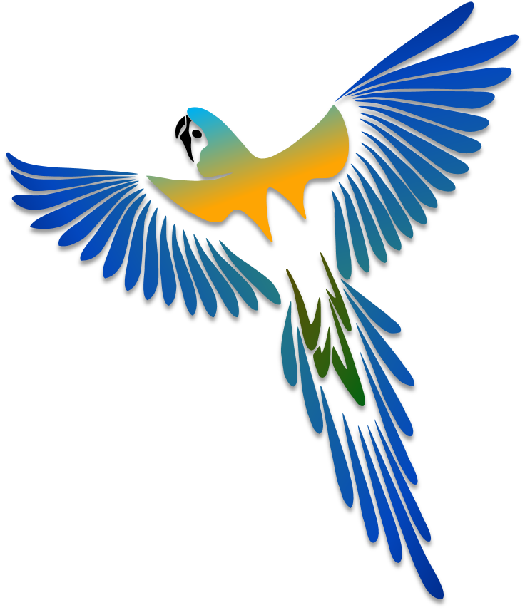 Birds Illustrations Art Islamic Graphics Adornos Pinterest - Parrot Tattoo Designs Clipart (736x856), Png Download