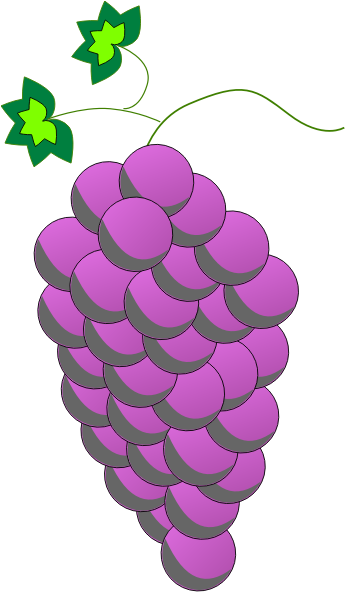 Common Grape Vine Wine Purple Grape Leaves - Grapes Lineart Clipart (438x750), Png Download