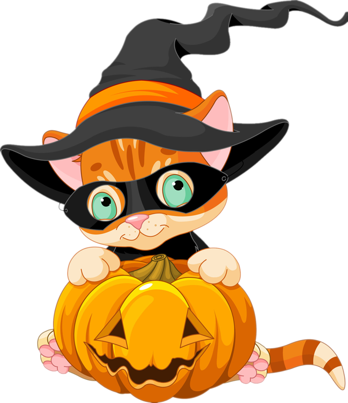 V256p7f - Cute Halloween Cat In Pumpkin Clipart - Png Download (691x800), Png Download