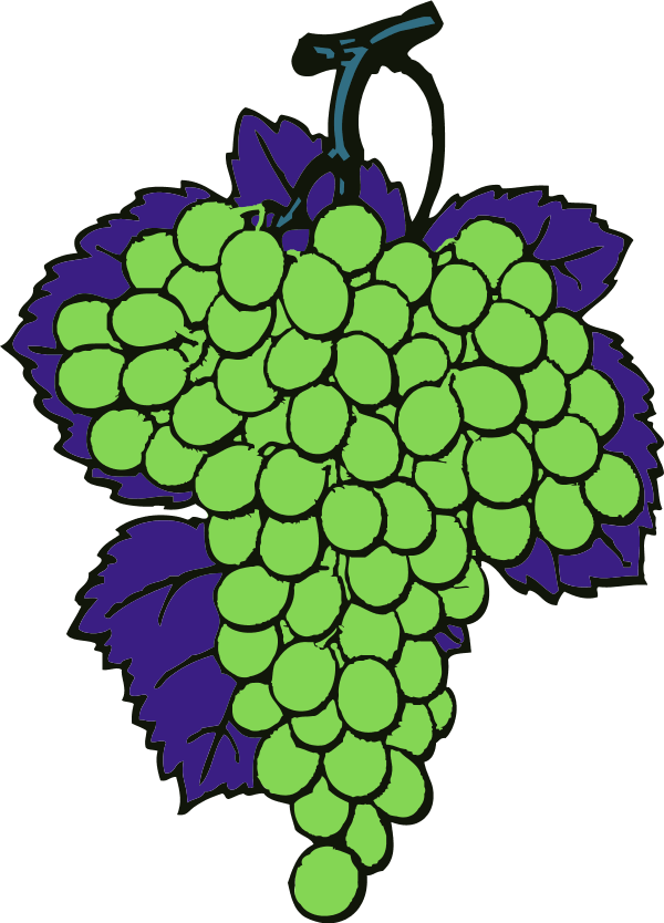 Grapes Vine Fruit - Desenho Cachos De Uvas Clipart (600x834), Png Download