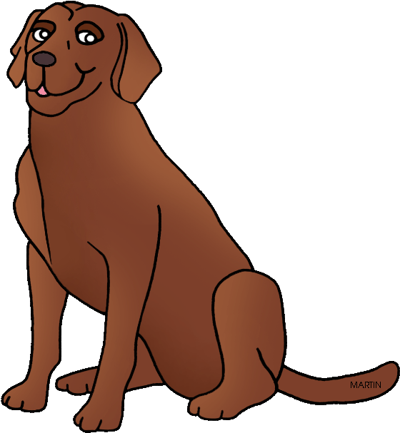 Labrador Clipart Puppy - Chesapeake Bay Retriever Clipart - Png Download (609x648), Png Download