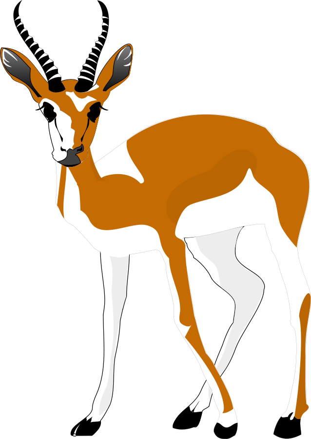 Springbok Funny Free Collection - Antelope Clipart Png Transparent Png