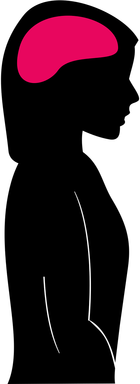 Neuroscience Gene Vector And Virus Core Neurosciences - Women Brain Png Clipart (576x1600), Png Download