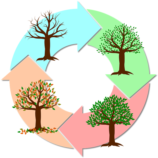Seasons Of The Year Tree - Imagens Das Estações Do Ano Clipart (717x720), Png Download