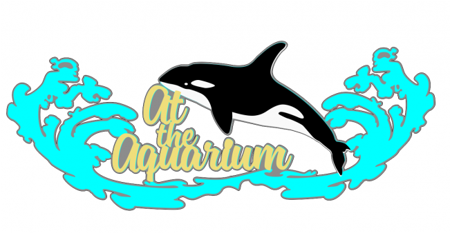 At The Aquarium - Killer Whale Clip Art - Png Download (650x650), Png Download