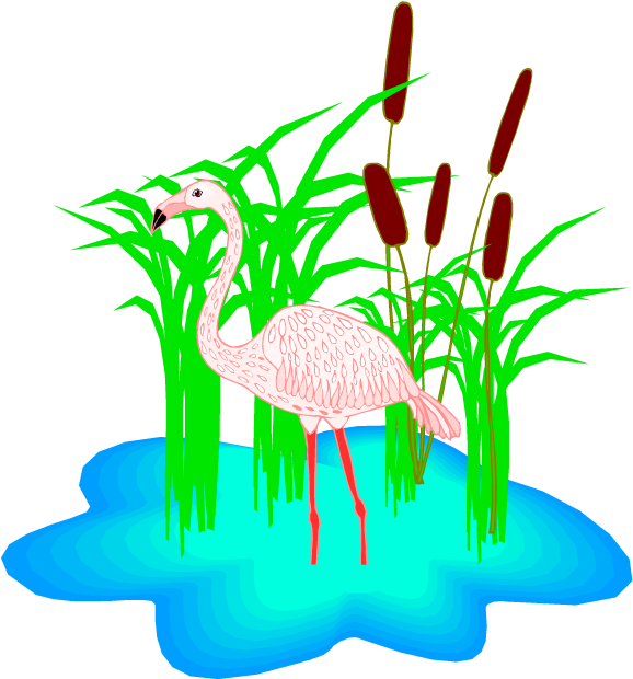 Free Flamingo Clipart - Flamingo In The Pond Clipart - Png Download (750x665), Png Download