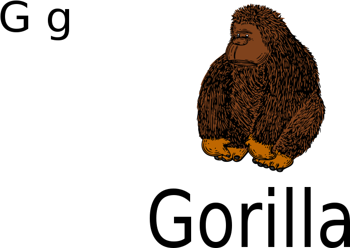 Free G For Gorilla - Gorilla Clip Art - Png Download (800x566), Png Download