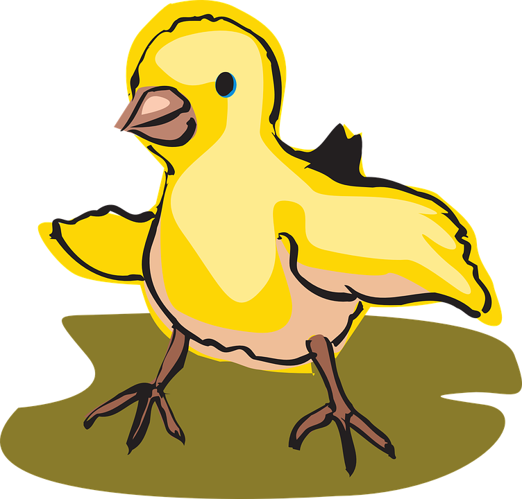 Baby Bird Clipart 24, Buy Clip Art - Png Download (752x720), Png Download