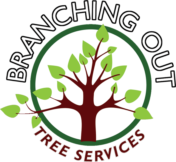 Tree Surgeon, Fencing, Landscaper In Congleton And - Branching Out Tree Services Clipart (590x543), Png Download