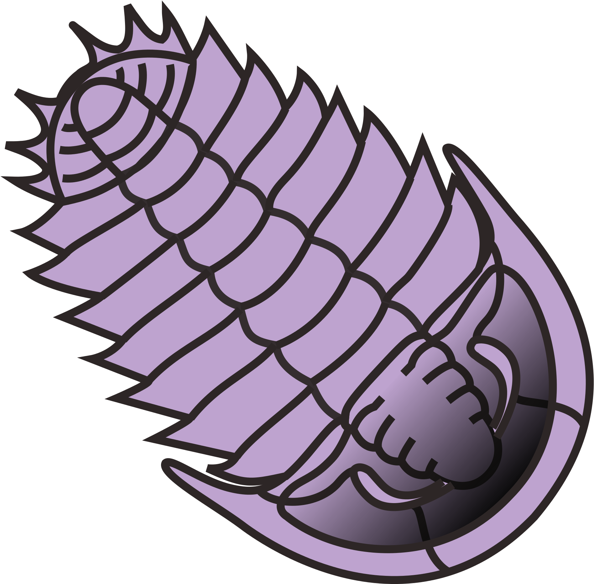 Open - Trilobite Clip Art - Png Download (2000x2000), Png Download