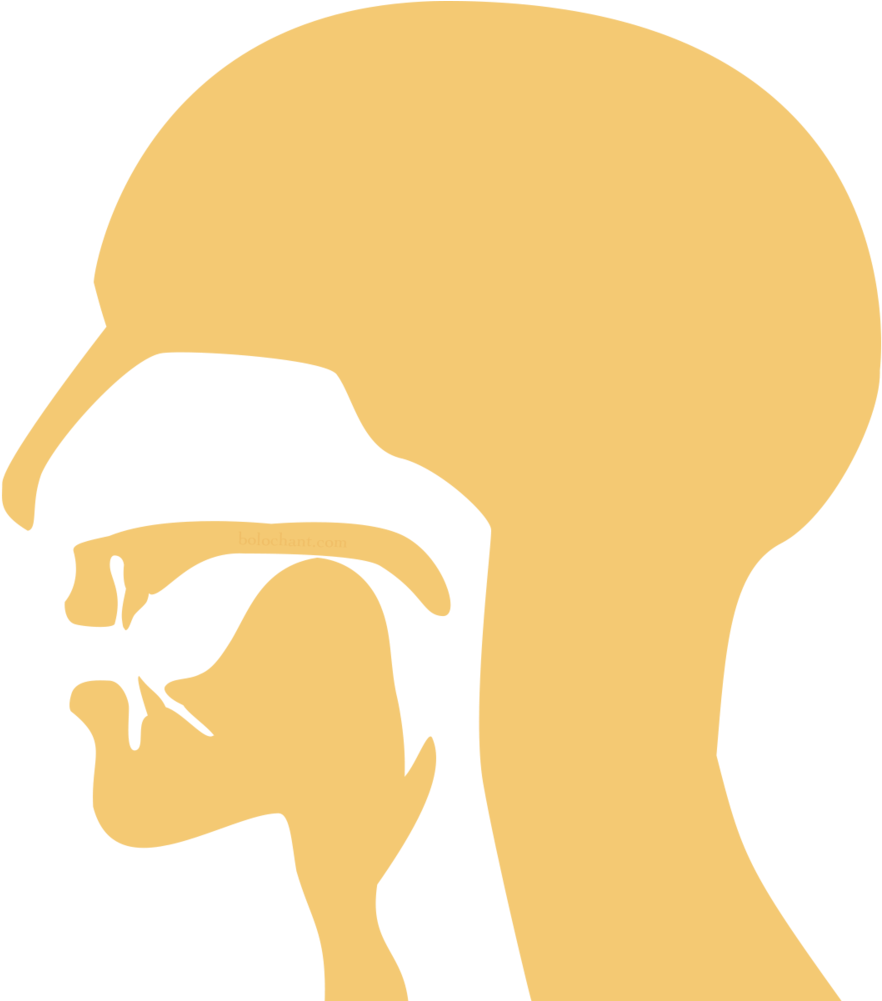 Mouth Position Clipart (1000x1000), Png Download