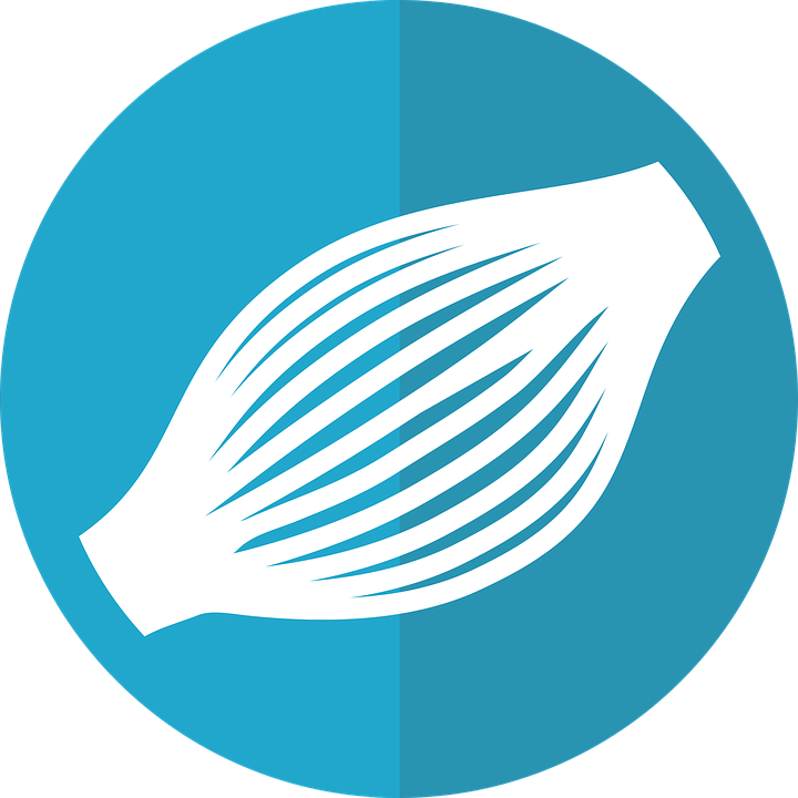 Blue Checkmark 25, Buy Clip Art - Png Download (720x720), Png Download