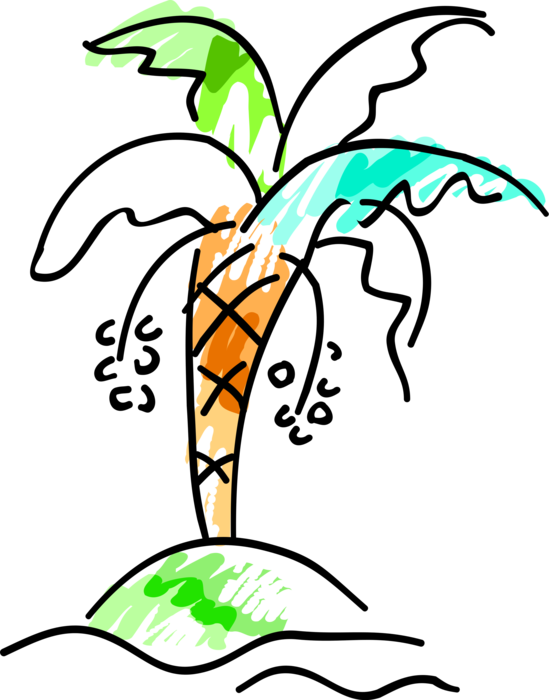 Vector Illustration Of Arecaceae Palm Tree With Coconuts Clipart (549x700), Png Download