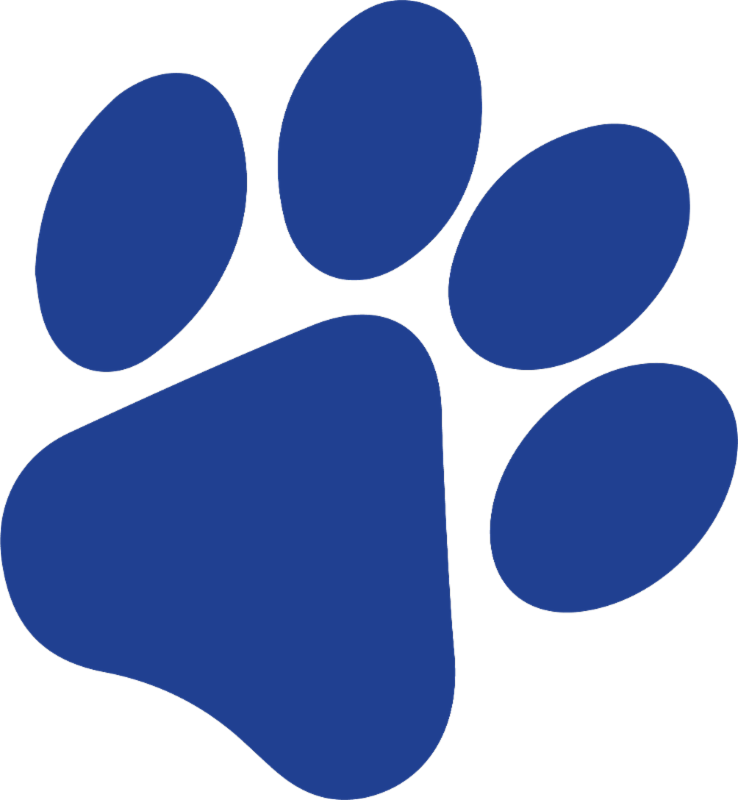 Dog Paw Stencil Pumpkins Clipart (738x800), Png Download