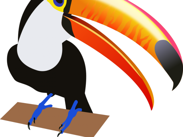 Brds Clipart Kiwi - South American Birds Clip Art - Png Download (640x480), Png Download