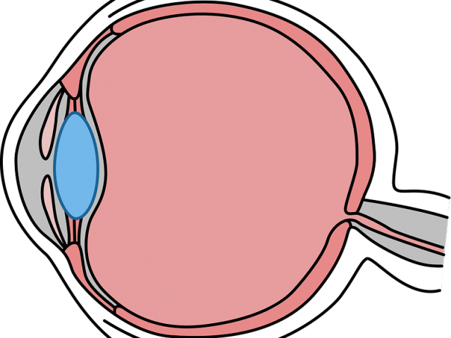 Eyeball Clipart Vision Loss - Cosas De Color Naranja - Png Download (640x480), Png Download