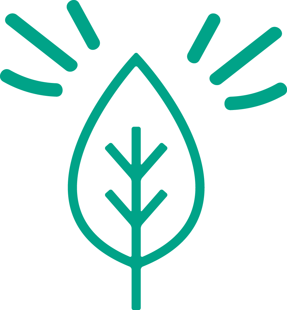 Sustainability Icon - Bio Line Icon Clipart (934x1009), Png Download