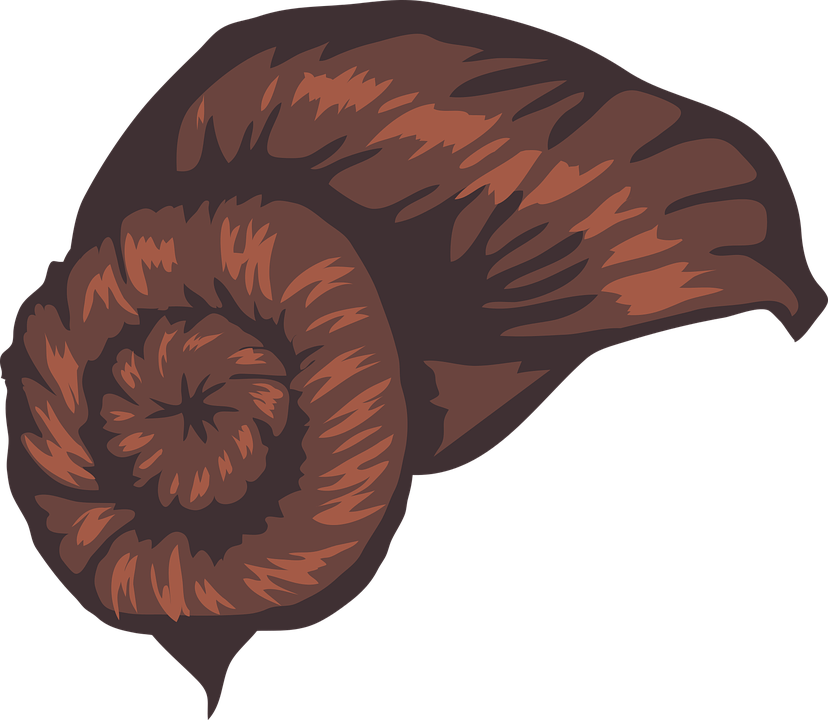 Star Wars, Princess Leia, Darth Vader, Droids, Epic - Princess Leia Chibi No Background Clipart (828x720), Png Download