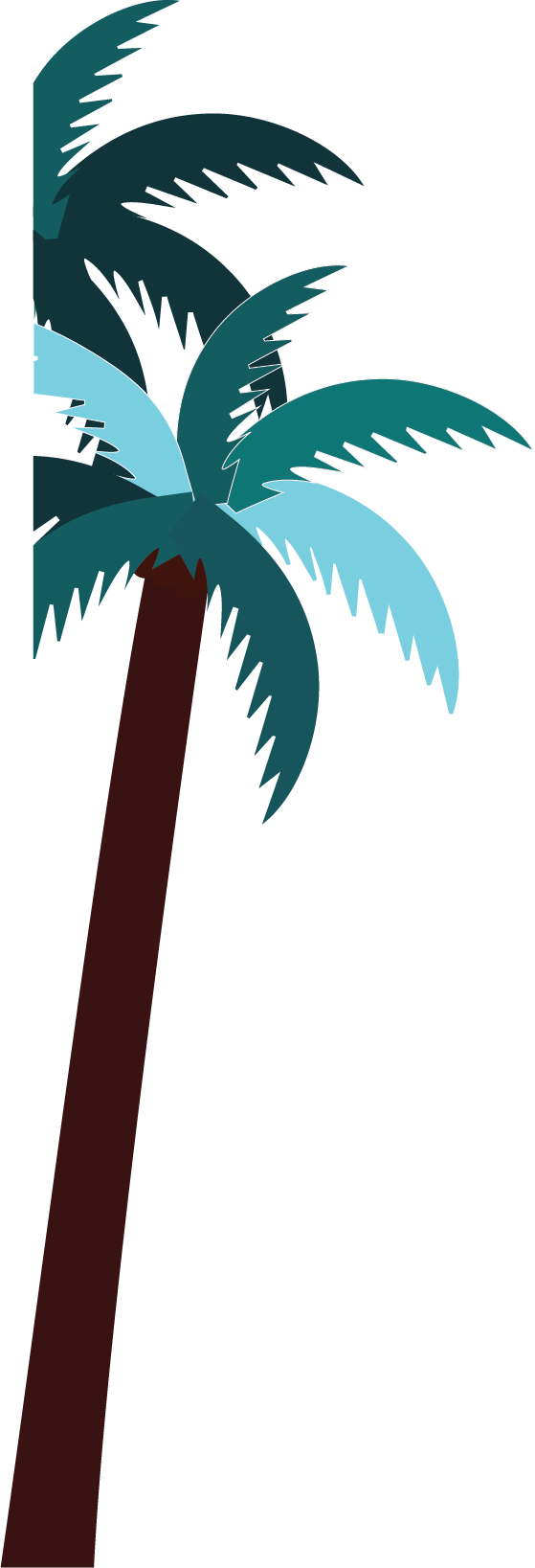 Live Dosa Keralan Street Food Clipart (559x1637), Png Download