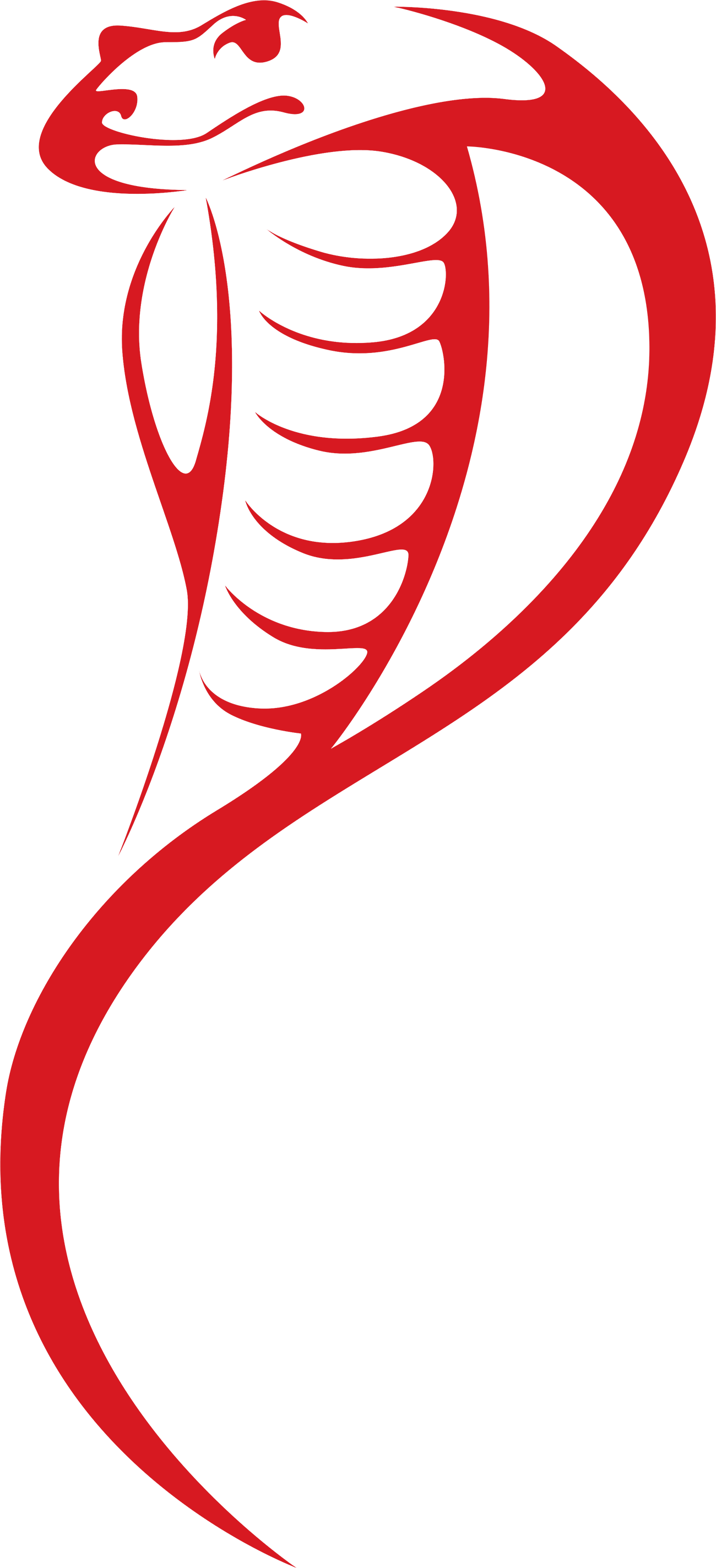 Homeskipbins Skip Bin Quotes & Online Bookings King Cobra Snake