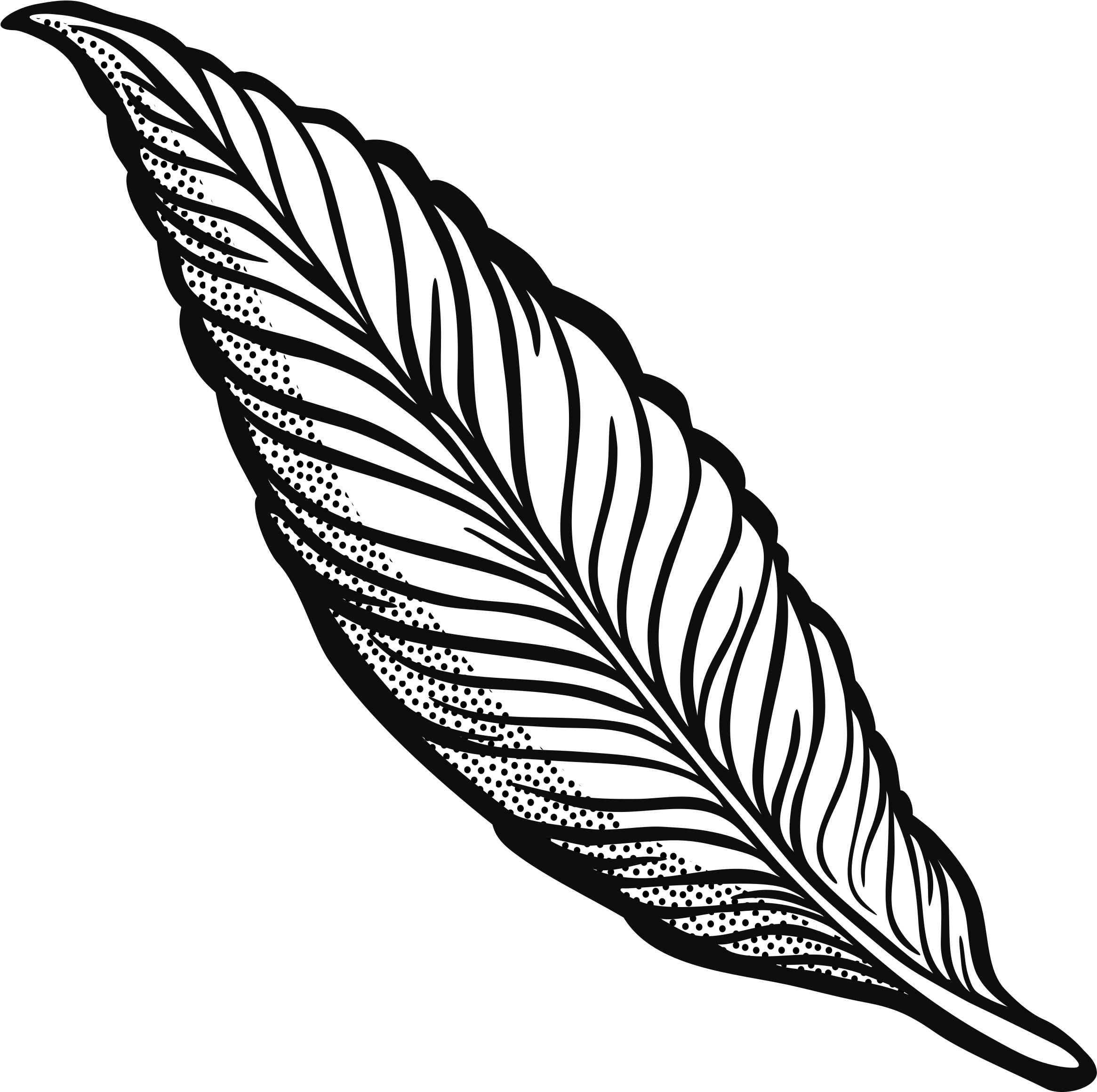 Turkey Feather Clipart Transparent Download Outline - Feather Clipart Transparent - Png Download (2400x2400), Png Download