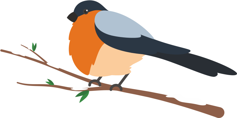 Old World Flycatcher Clipart (800x800), Png Download