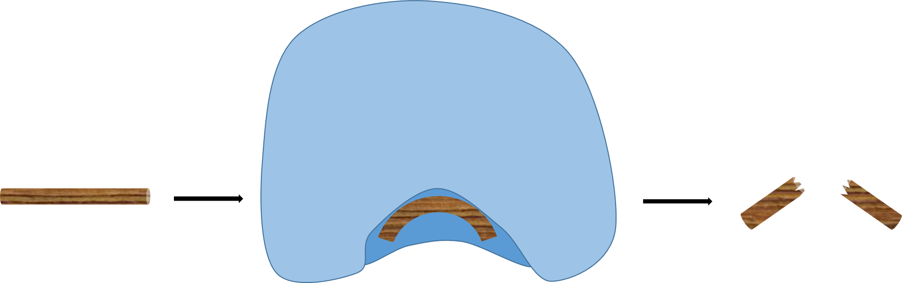 Proteins At Work Clipart (1836x577), Png Download