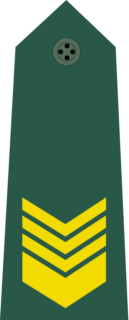 Taiwan Army Or - Taiwan Clipart (413x1024), Png Download