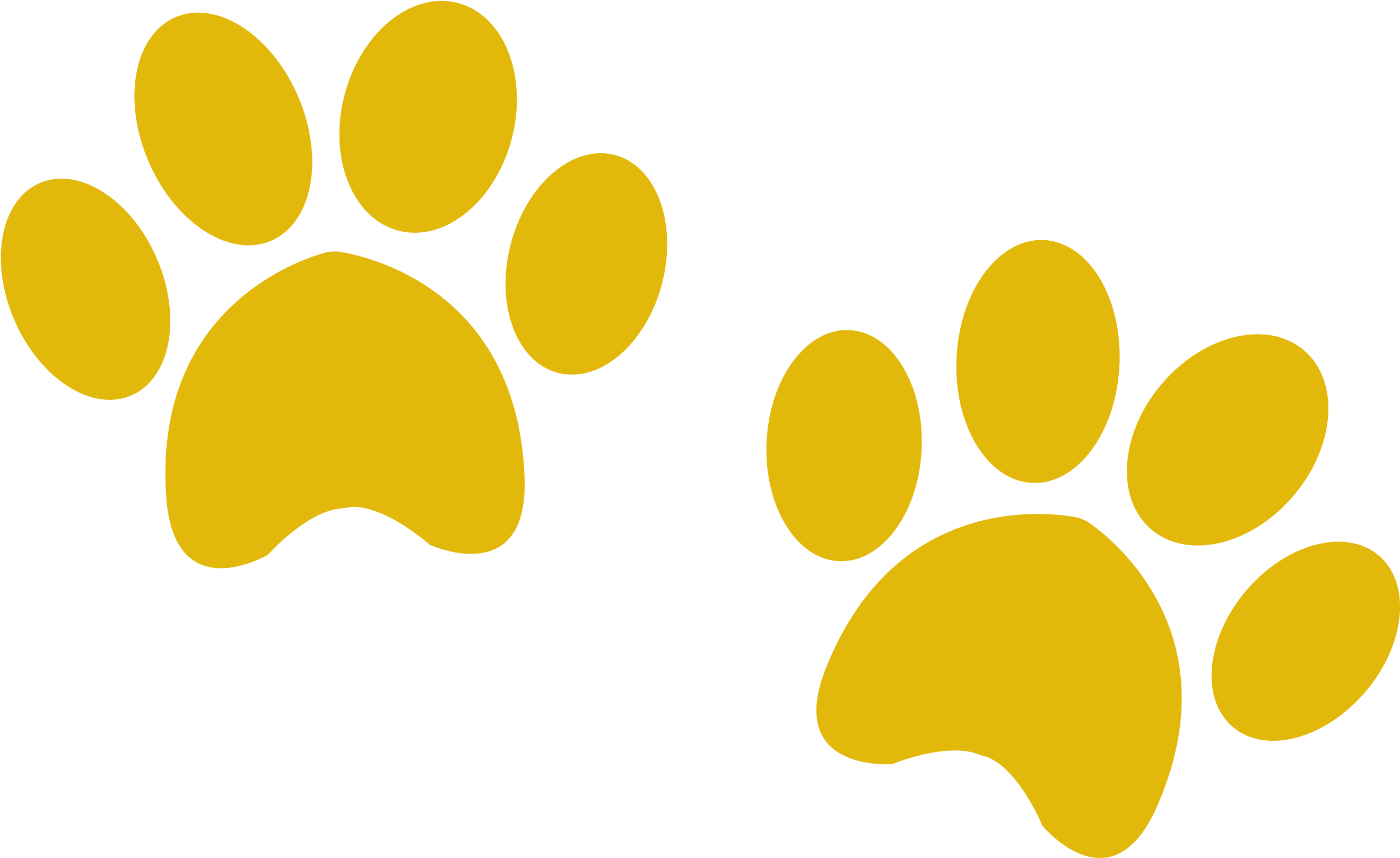 Owners All Our Cottages Are Very Close - Yellow Paw Prints Png Clipart (2682x1737), Png Download