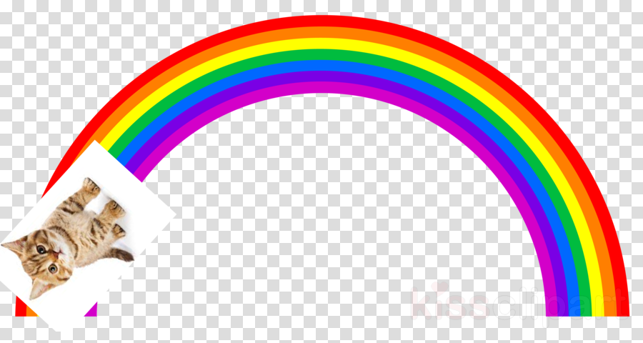 Red Ribbon Christmas Png Clipart (900x480), Png Download