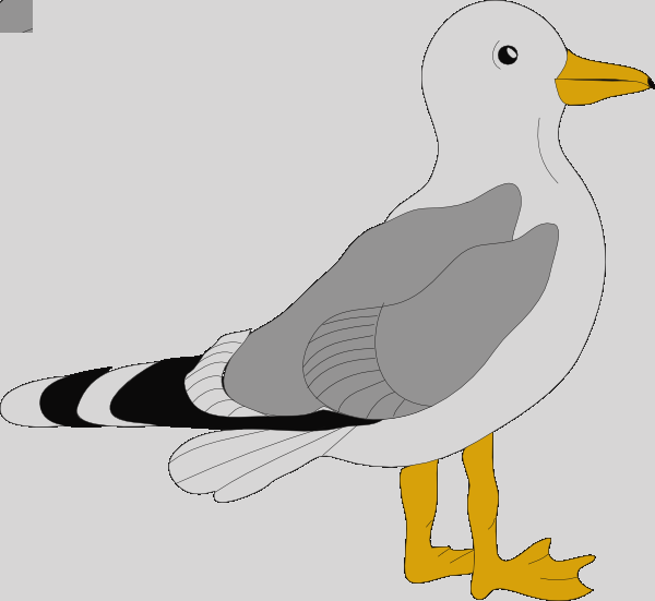 Bird Clip Art - Png Download (600x551), Png Download