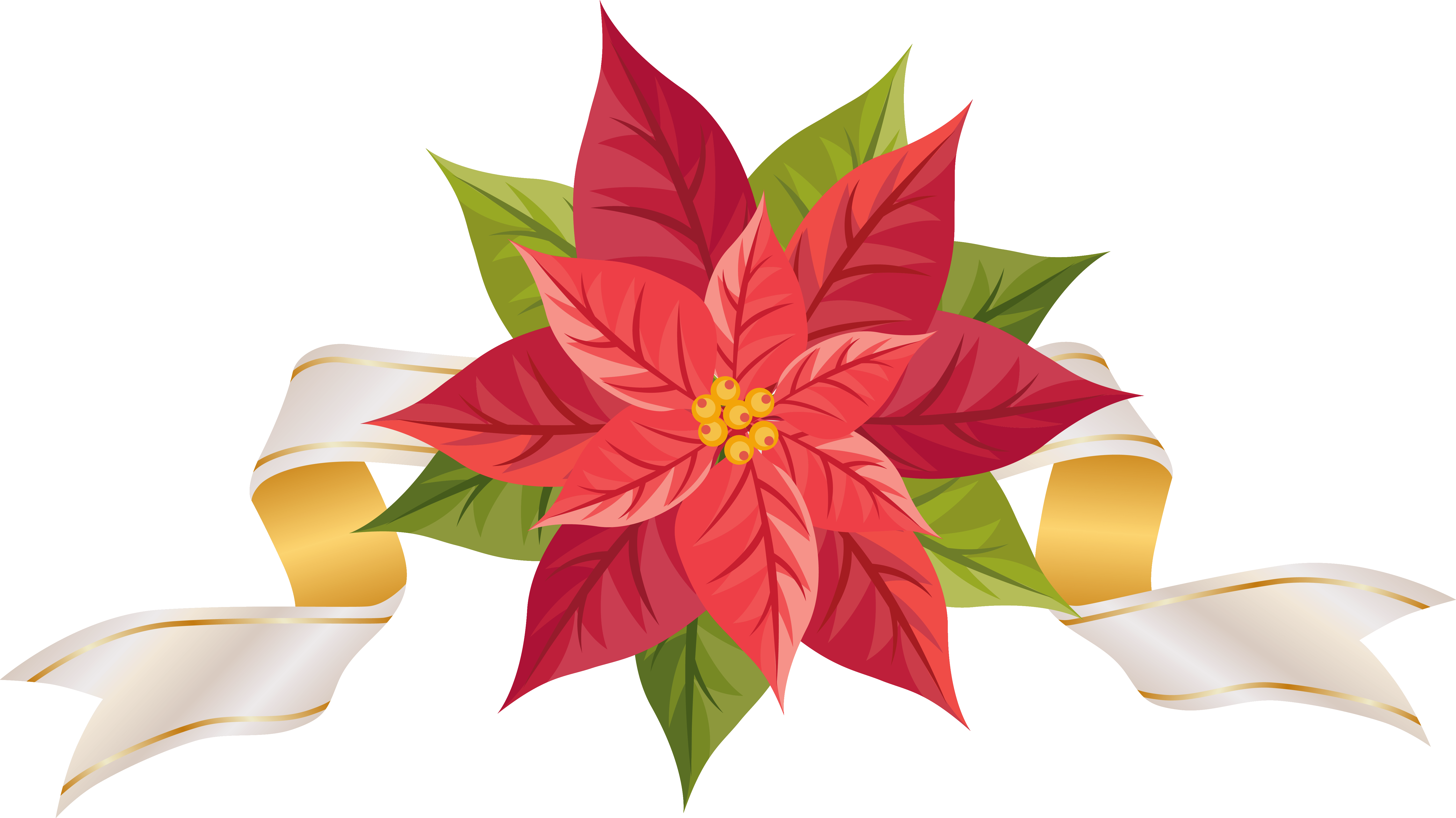Clipart Poinsettia - Png Download (6025x3385), Png Download