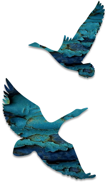 Cranes Illustrations Art & Islamic Graphics - Silhouette Clipart (442x758), Png Download