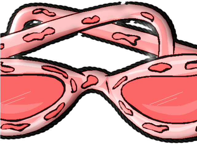 Goggles Clipart Lady Glass - Clip Art - Png Download (640x480), Png Download