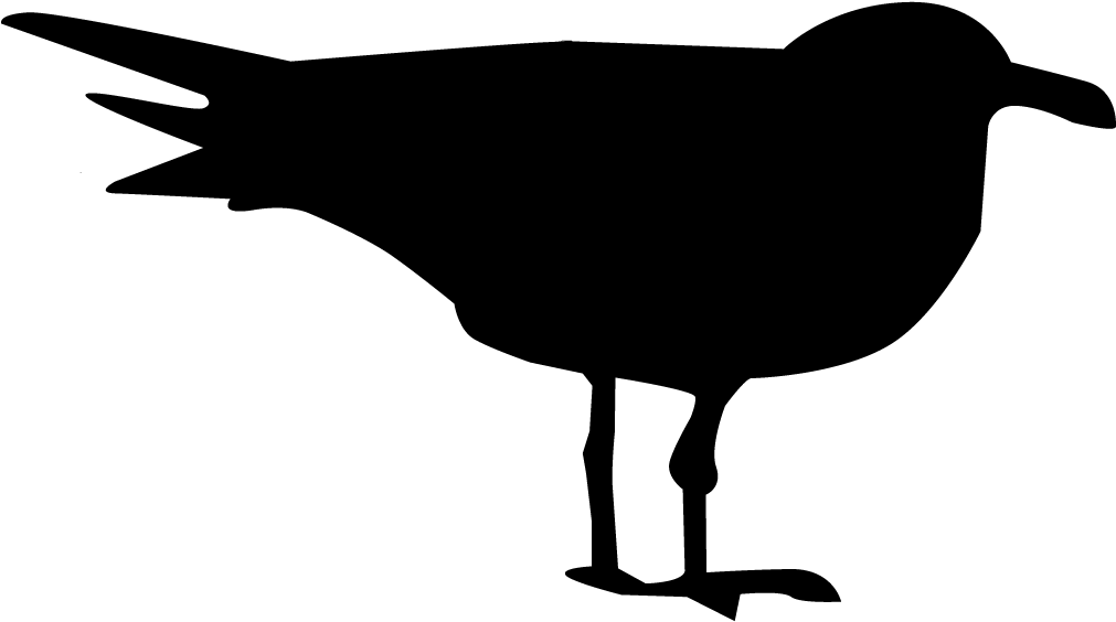 Ring-billed Gull - Ring Billed Gull Silhouette Clipart (1024x1024), Png Download