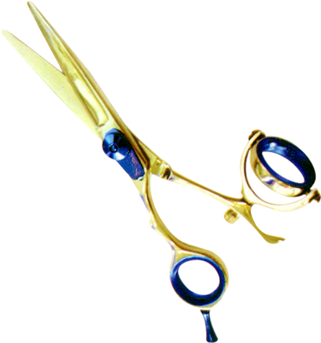 Professional Hair Cutting Scissors Infused Multicolor - Ent Credit Union Clipart (600x600), Png Download