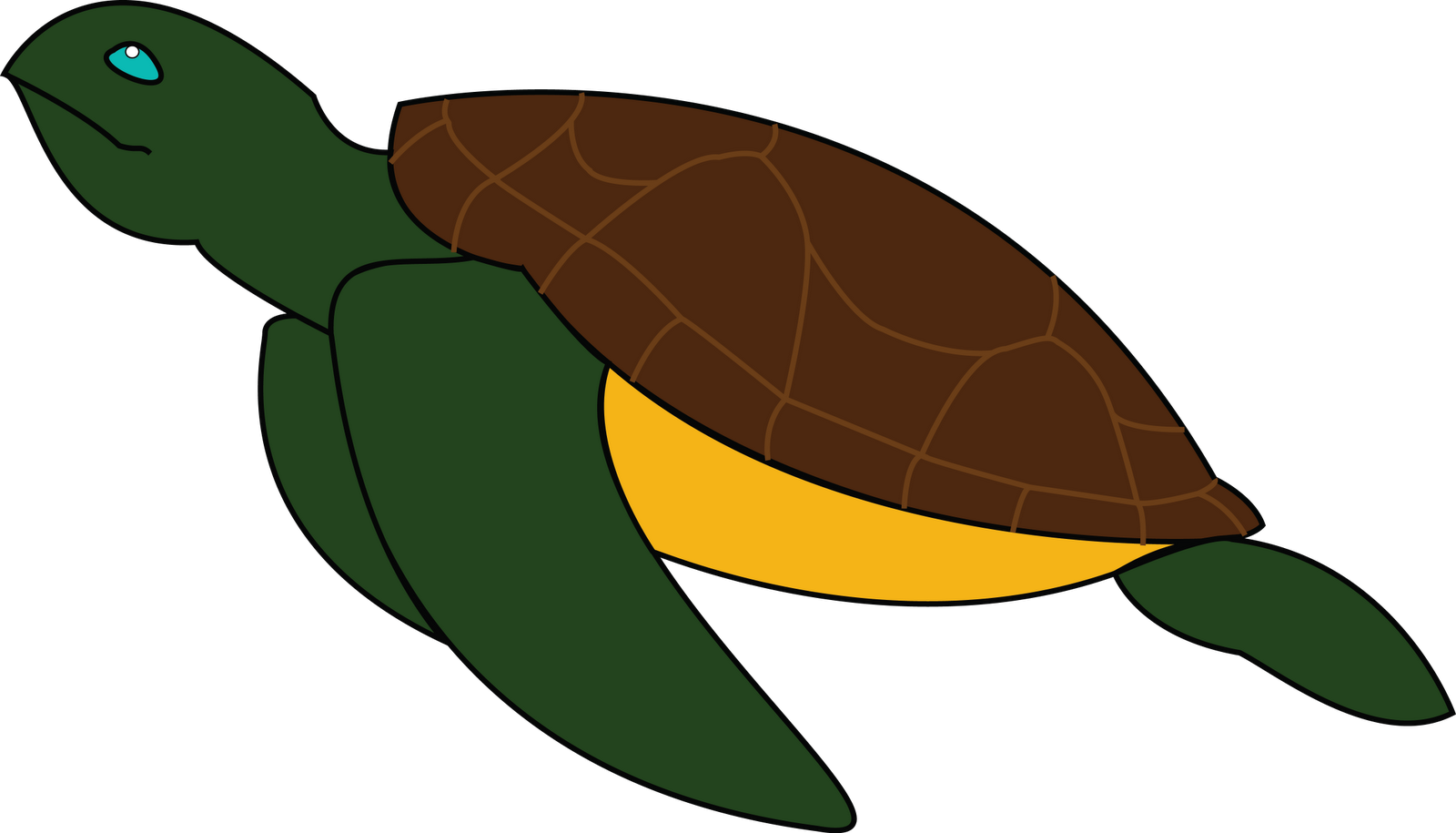 Sea Turtle - Green Sea Turtle Clipart - Full Size Clipart (#1719872