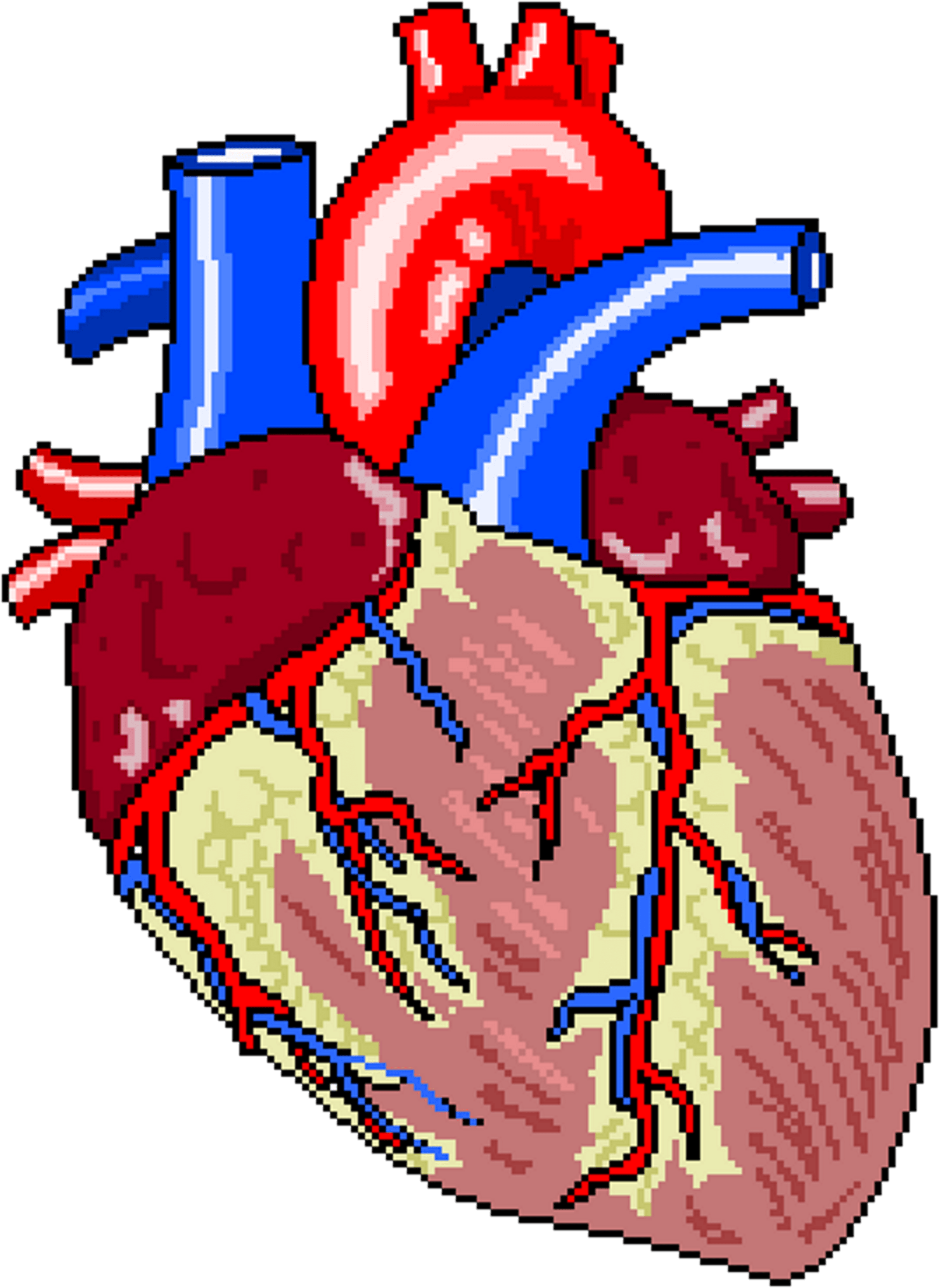 Medical Heritage Or Visit The Rnhrd Homepage, And If - Insuficiencia Cardiaca Png Vector Clipart (3564x3600), Png Download