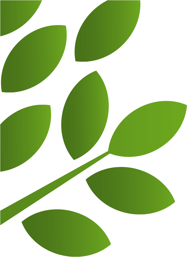 Local Roots Charlotte Metro Federal Credit - Charlotte Metro Credit Union Clipart (748x1074), Png Download
