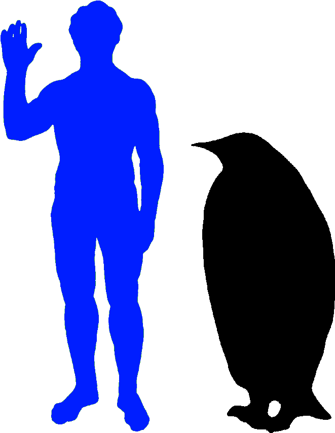 The Emperor Penguin Is The World's Biggest Penguin Clipart (729x873), Png Download