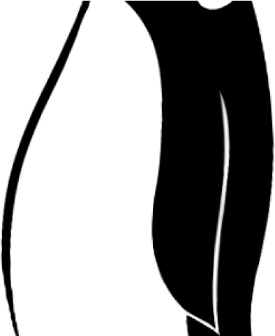 Emperor Penguin Clipart Draw Cartoon - Drawing - Png Download (640x480), Png Download