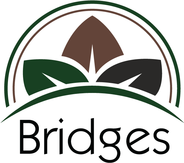 Bridges In-home Care Logo - 1 Lb Organic Yautia Lila, Rhizome Xanthosoma Clipart (600x600), Png Download