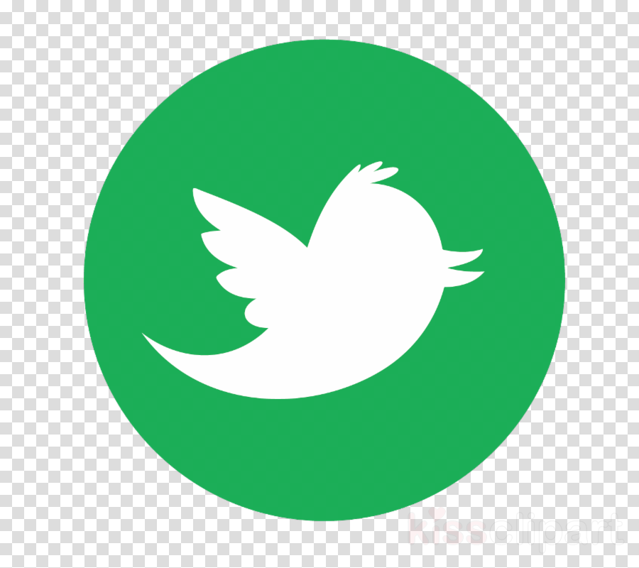Twitter Logo Material Png Clipart Computer Icons Clip - Transparent Camera Png Icon (900x800), Png Download