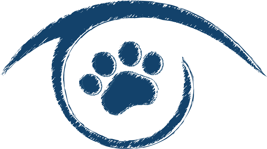 Animal Eye Clinic - Eye Clipart (1149x780), Png Download