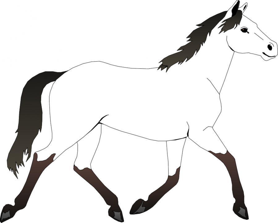 Coloring Pages Horses Free Clipart Mustang Coloring - Horse Black And White Clipart Png Transparent Png (900x721), Png Download