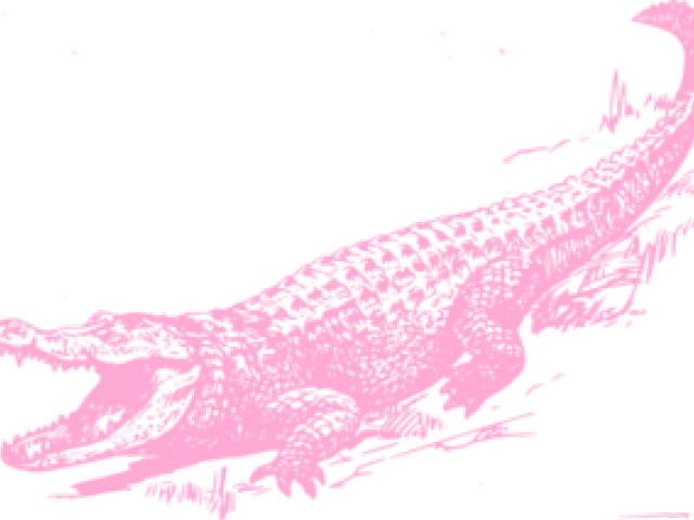 Alligator Clipart Name - Crocodile Black And White - Png Download (640x480), Png Download