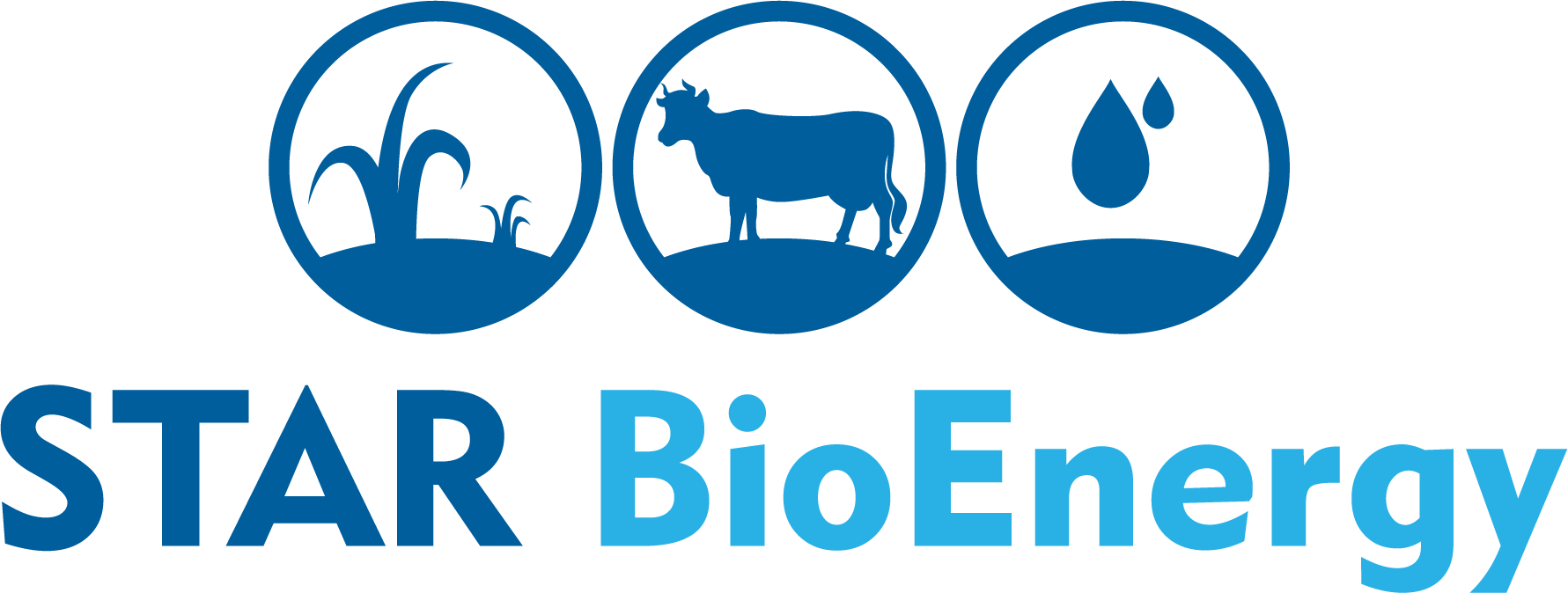Star Bioenergy - Ucsf Star Center Ados-2 Clinical Workshops January Clipart (1781x674), Png Download